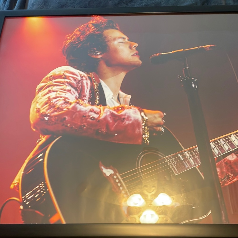 harry styles poster 24x36